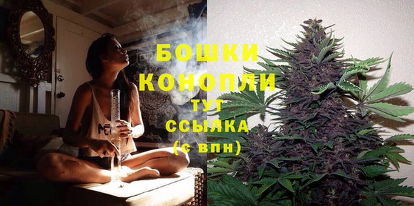 МДПВ Магас