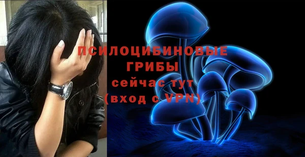 mdpv Майский