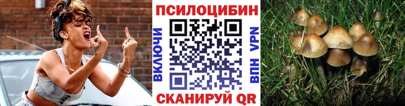 Псилоцибиновые грибы Psilocybe  hydra   Невельск 