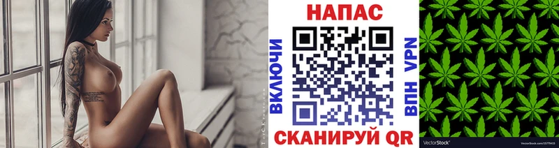 Шишки марихуана конопля  где можно купить   Невельск 